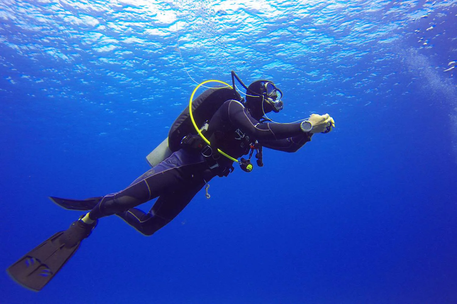 Fažana: Discovery Scuba Dive – Your First Underwater Adventure in Istria photo 5