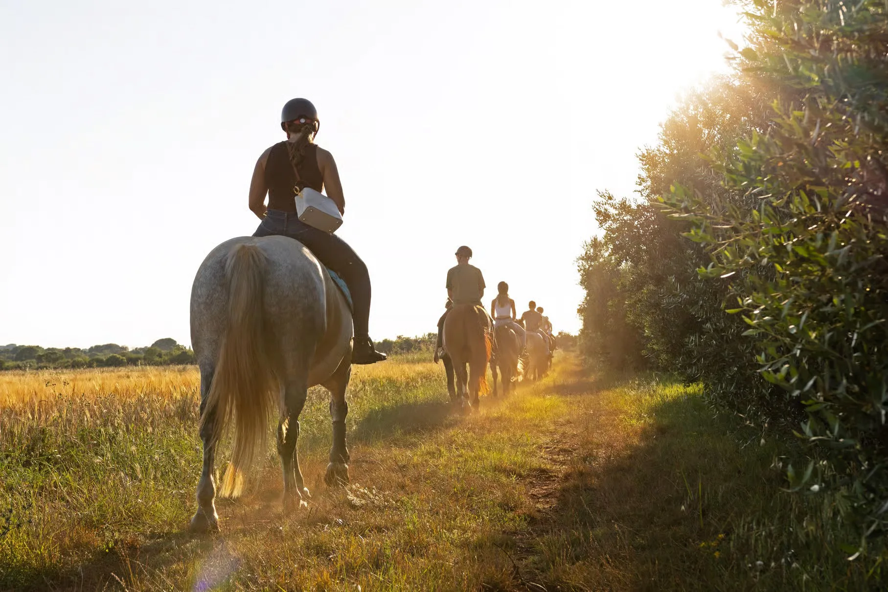 Fažana: Sunset 1-hour Horse Riding in Nature with Guide