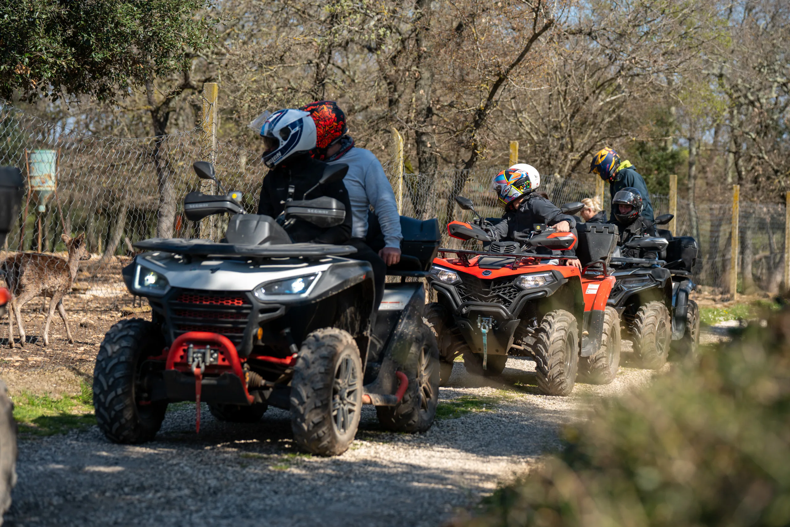Barbariga: Discover a hidden side of Istria on a Quad & Buggy photo 4