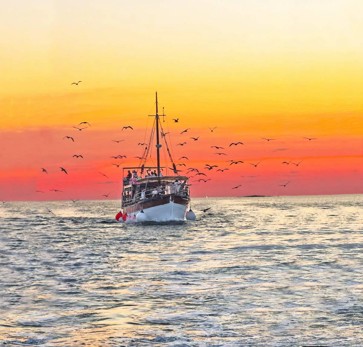 from Fazana: NP Brijuni Dolphin Safari cruise with Dinner