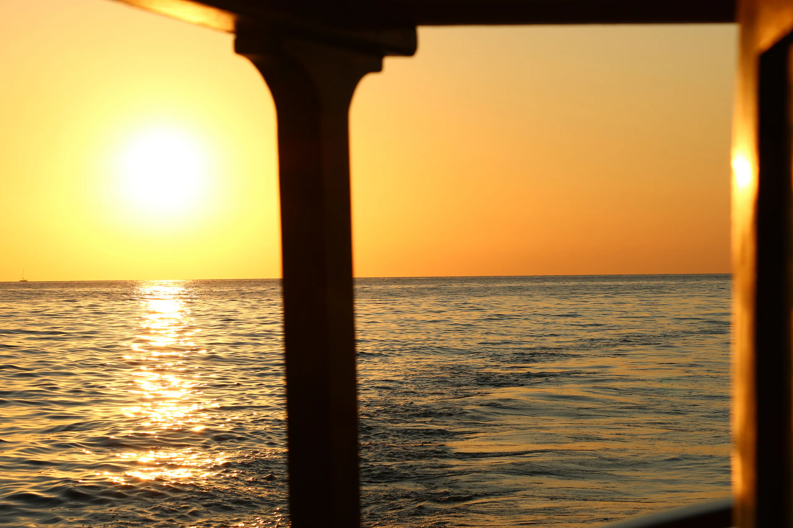 from Fazana: NP Brijuni Dolphin Safari cruise with Dinner photo 5