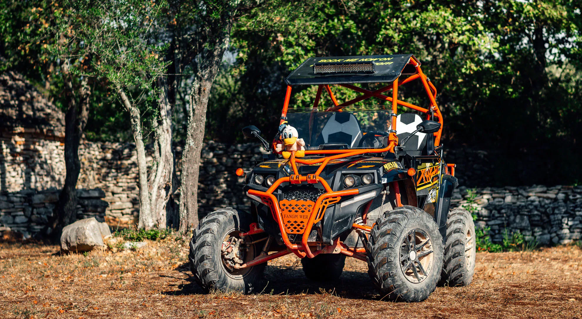 Fažana: Predator Off Road Buggy Adventure photo 5
